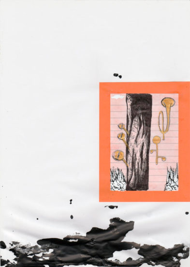 Troncs-et-trompettes-re-w